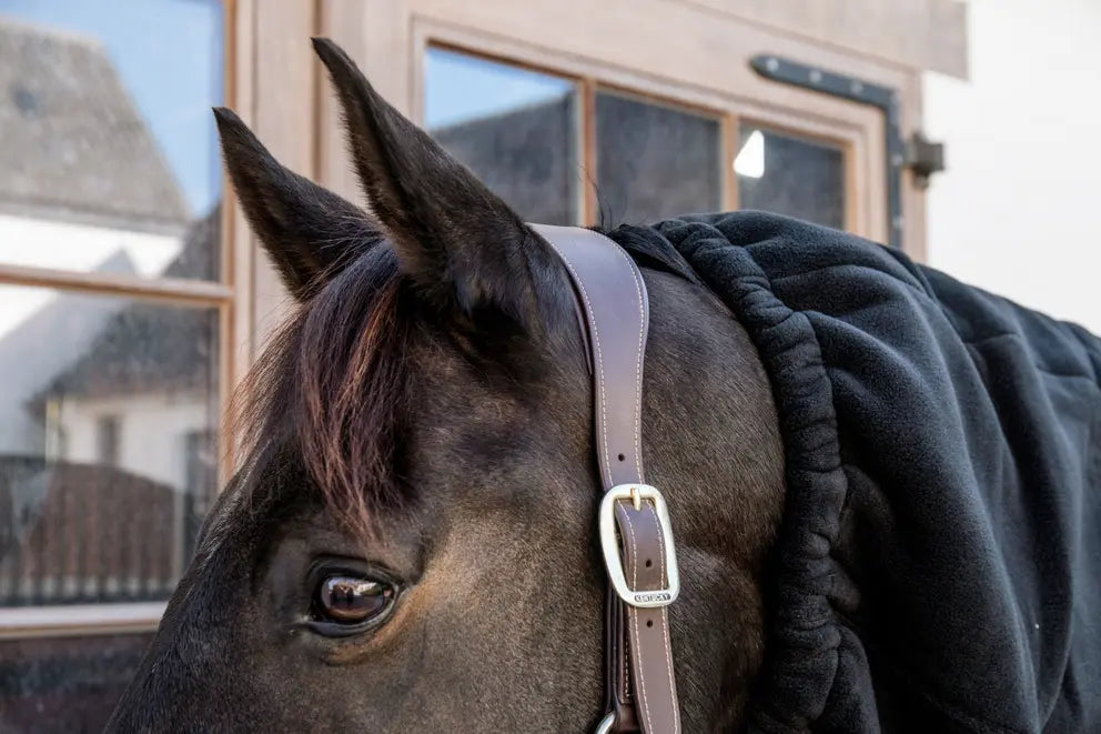 Kentucky Fleece Scarf Heavy - Navy & Black