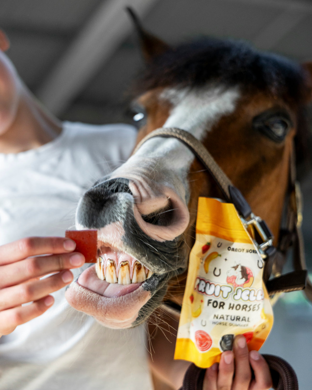 Candy Horse Fruit Jellies Strawberry + Banana – soft gummies for horses