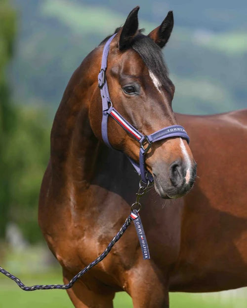 Tommy Hilfiger Equestrian Yale Set Halter Rope FADED INDIGO