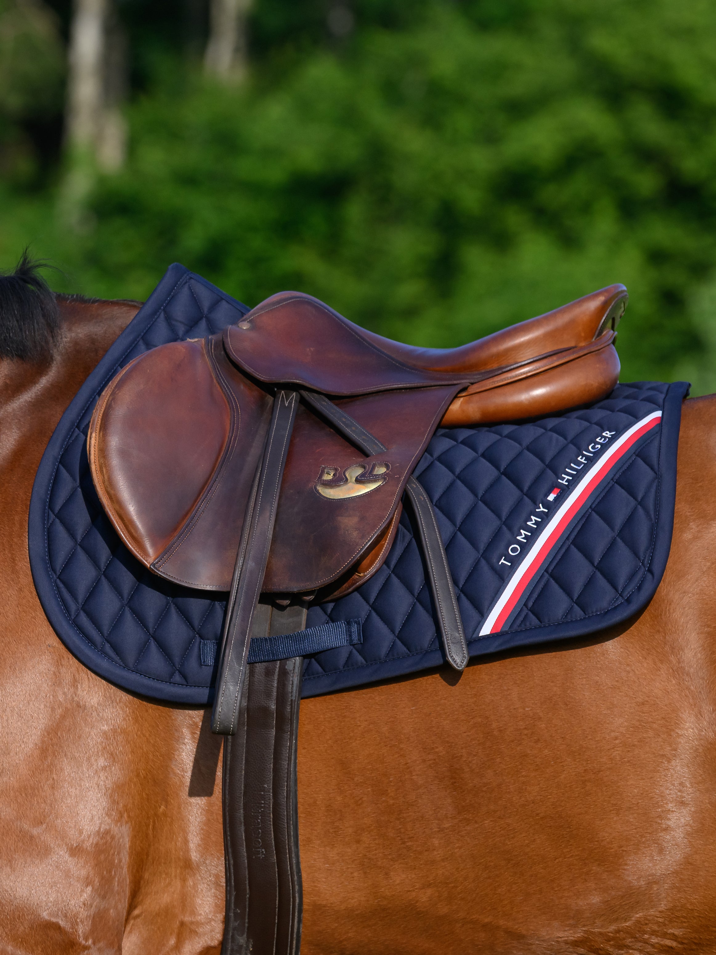 Tommy Hilfiger Equestrian Stanford Jumping Saddle pad DESERT SKY