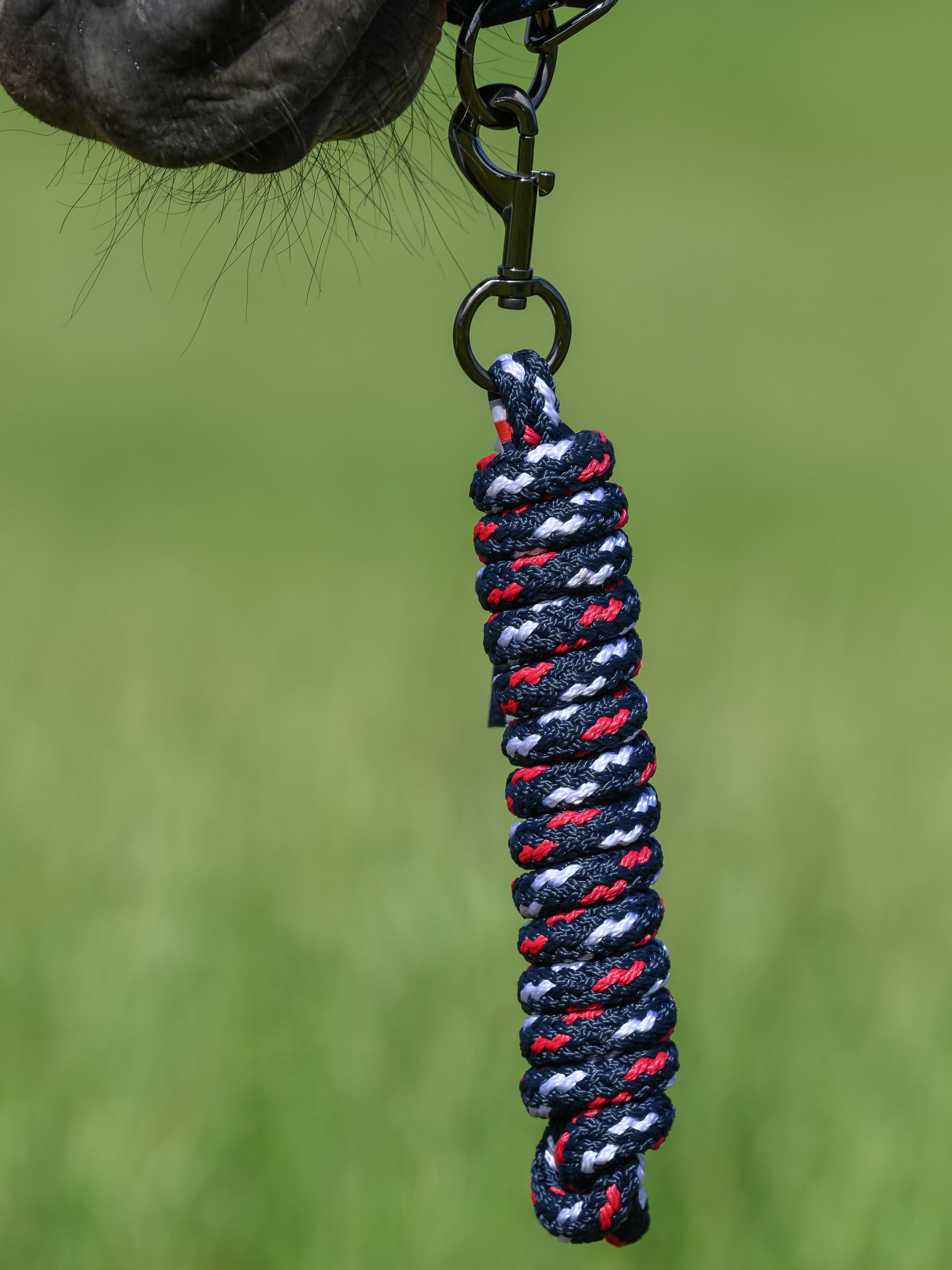 Tommy Hilfiger Yale Set Halter and Rope DESERT SKY