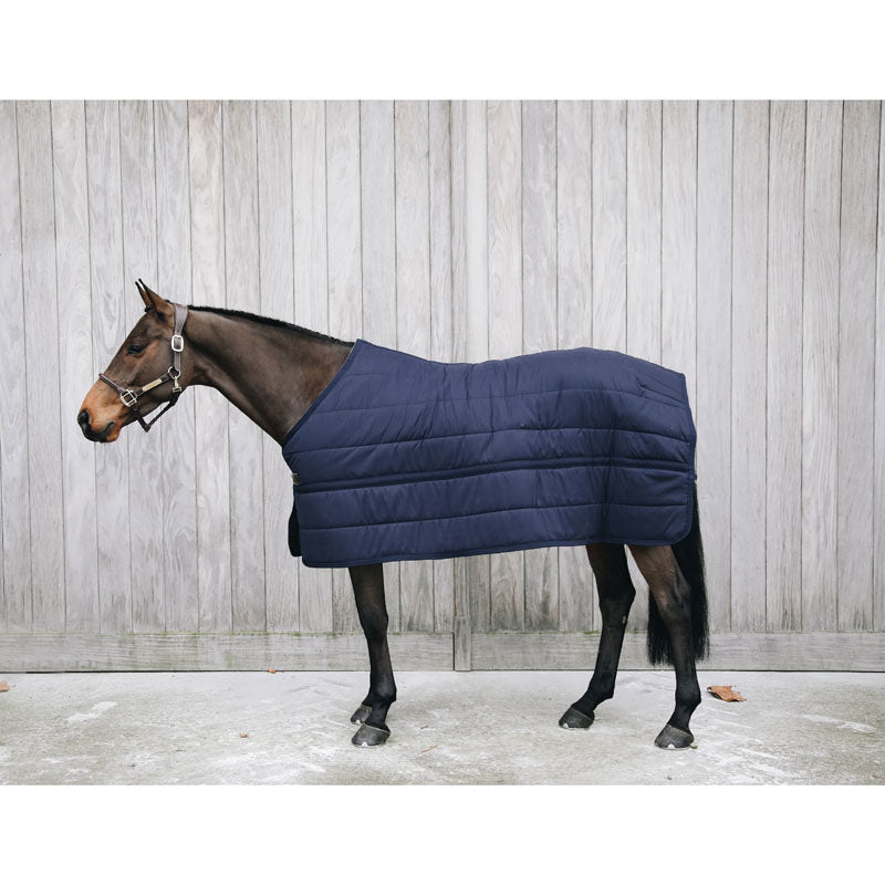 Kentucky Under Rug Skin Friendly 150g - Navy