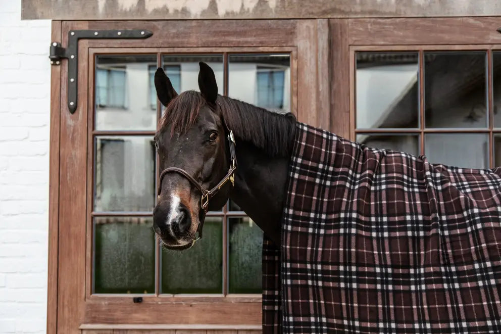 Kentucky Heavy Fleece Rug Square