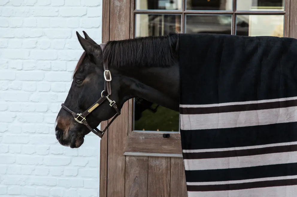 Kentucky Heavy Fleece Rug Square