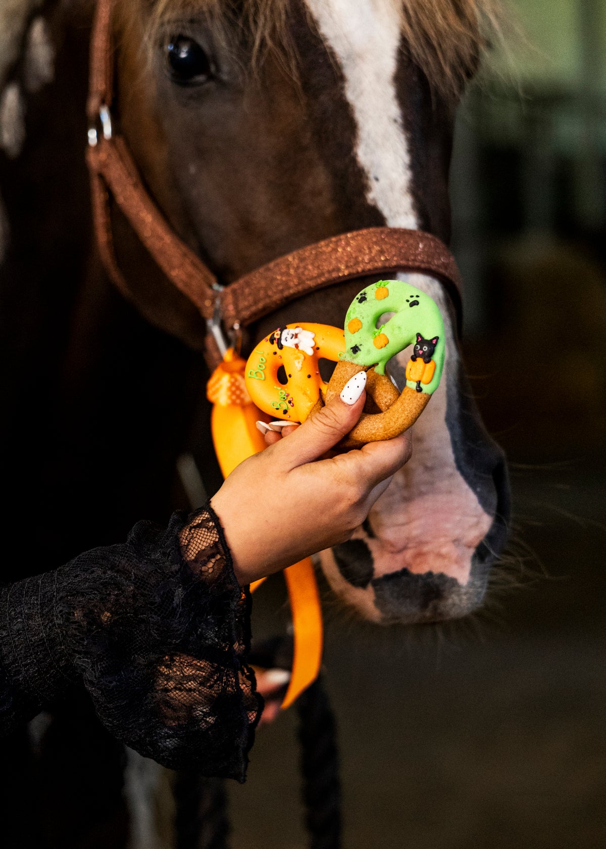 Candy Horse Halloween Pretzels with Icing - Limited Edition