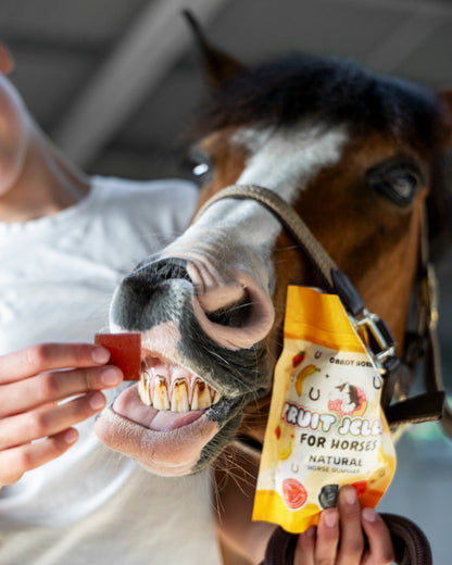 Candy Horse Fruit Jellies Strawberry + Banana – soft gummies for horses