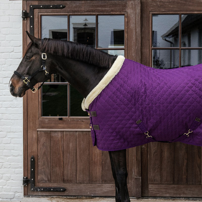 Kentucky Horsewear Limited Edition Show Rug - Royal Purple