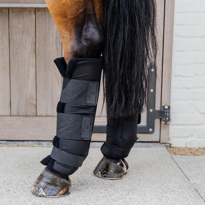 Kentucky Stable Boots PROtect Classic - Hind