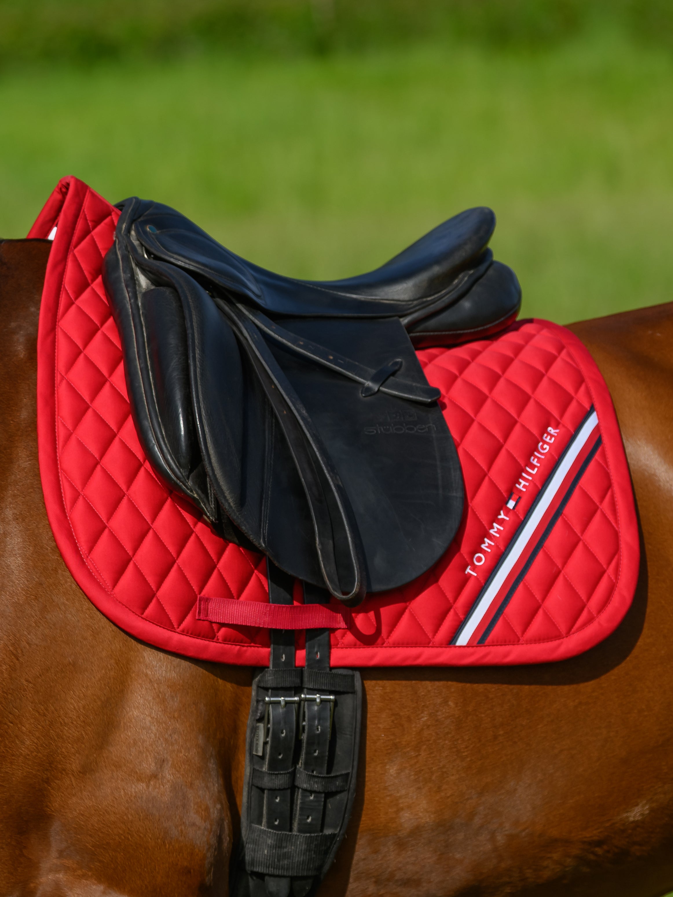 Stanford Dressage Saddlepad PRIMARY RED