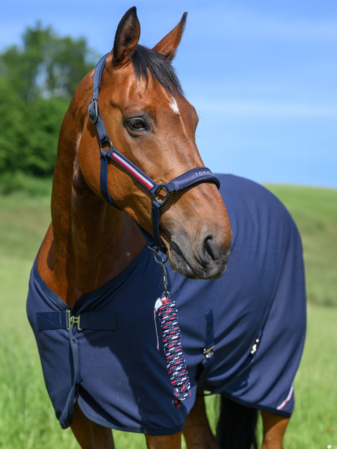 Tommy Hilfiger Yale Set Halter and Rope DESERT SKY