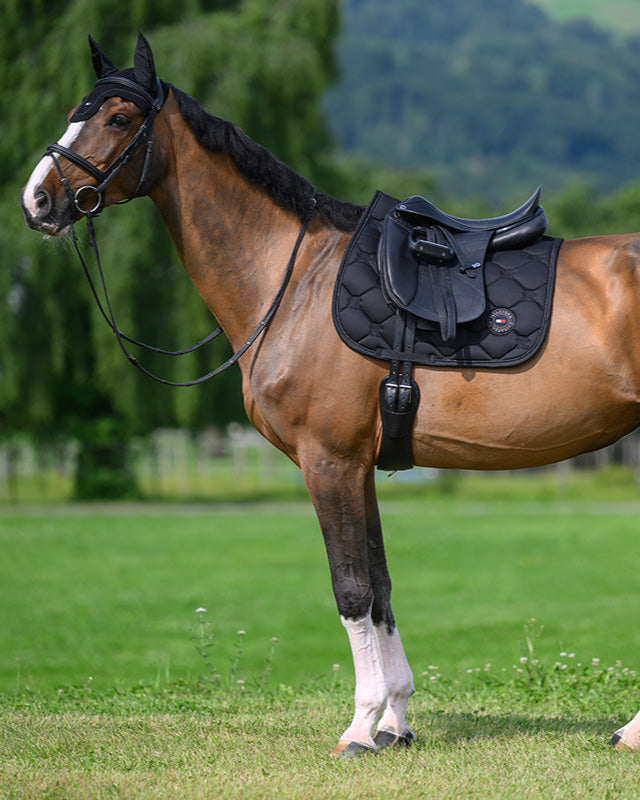 Tommy Hilfiger Equestrian Emory Dressage Saddle pad DESERT SKY