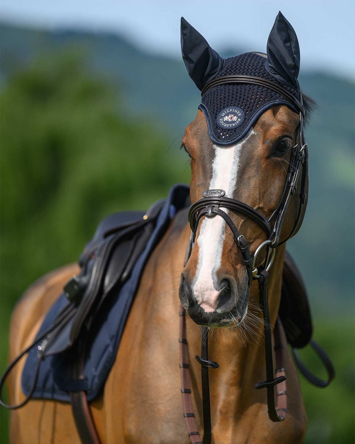 Tommy Hilfiger Equestrian Emory Jumping Saddle Pad DESERT SKY