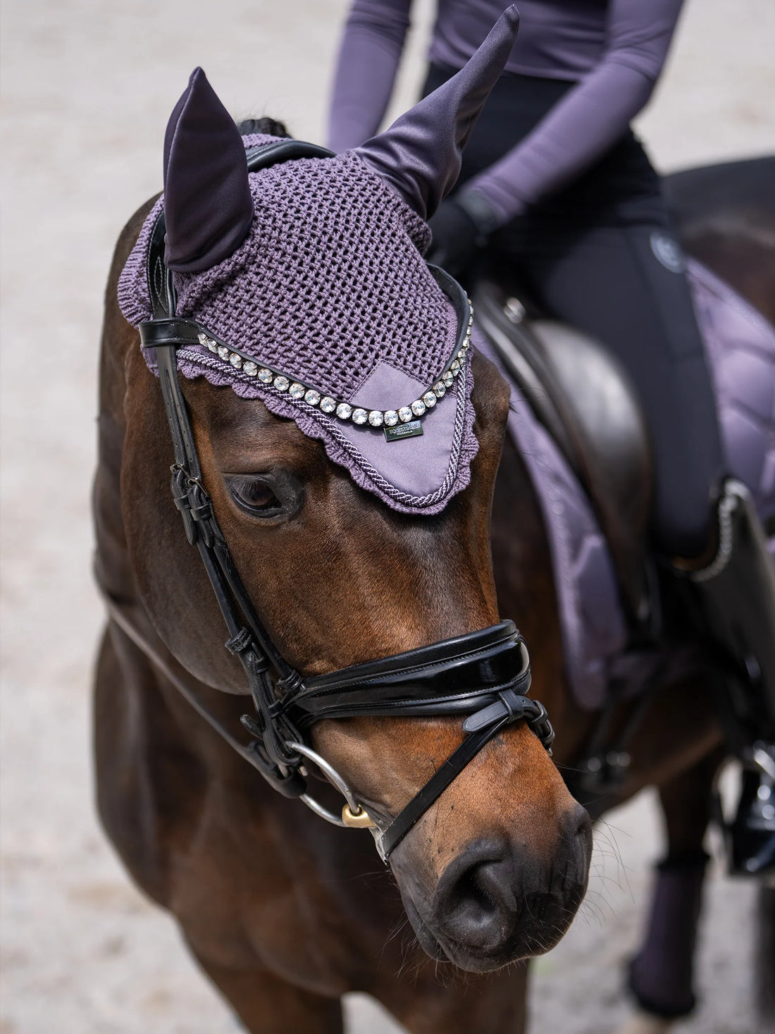 Equestrian Stockholm Dark Violet Fly Veil
