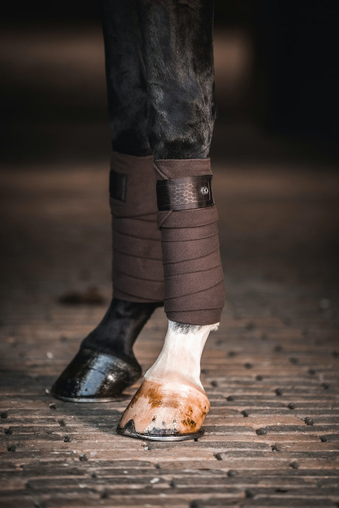 PS OF Sweden AW21 Mamba Bandages - Coffee