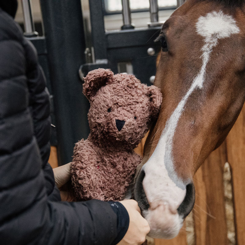 Kentucky Bear Stable Toy
