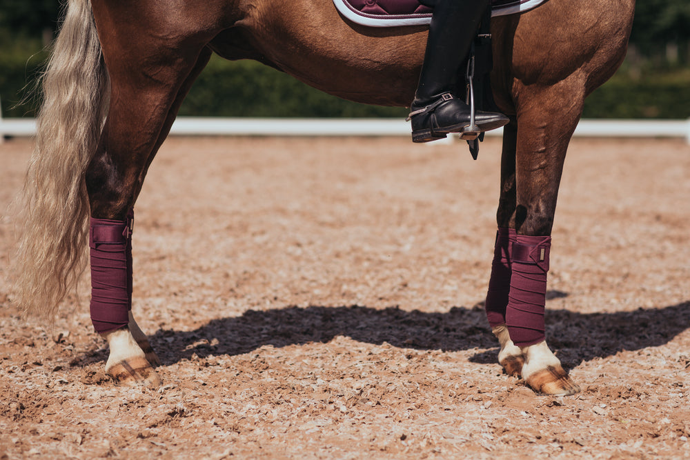 Equestrian Stockholm AW20 Purple White Edge Bandages