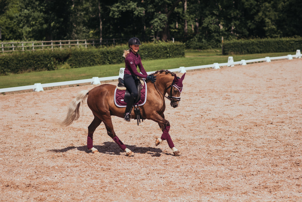 Equestrian Stockholm AW20 Purple White Edge Bandages