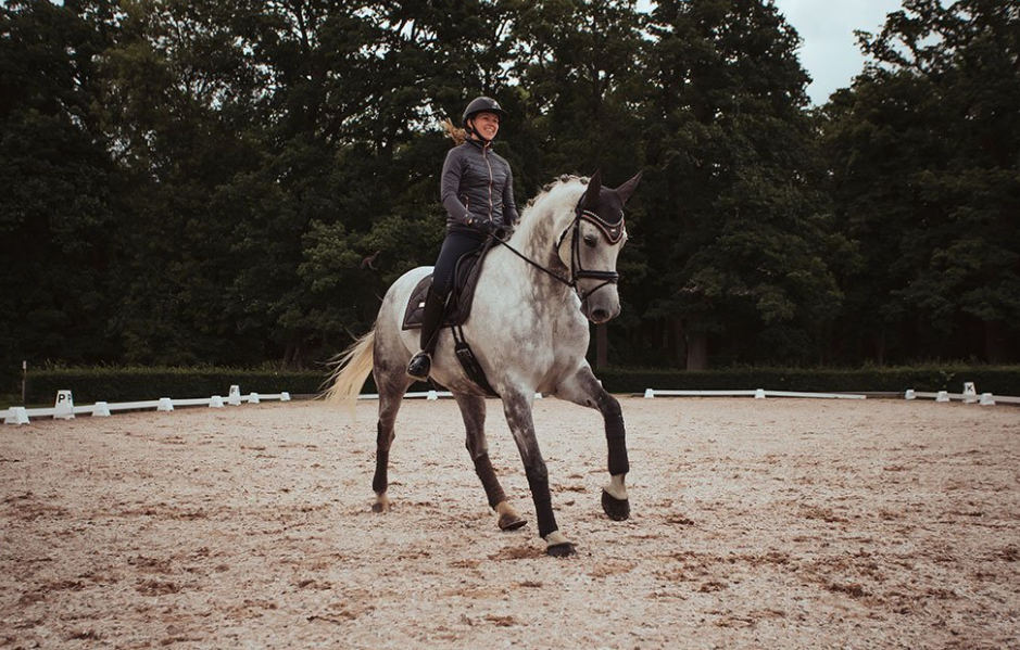 Equestrian Stockholm Dark Sky Bandages