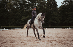 Equestrian Stockholm Dark Sky Bandages