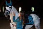 Equestrian Stockholm Aurora Blue Saddle-pad