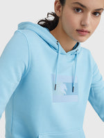 Tommy Hilfiger SS22 Summit Hoodie