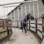 Kentucky Waterproof Walker Rug - Navy