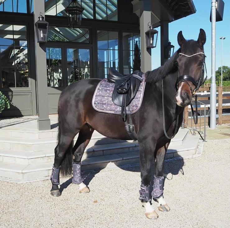 Eskadron 2021 Graffiti Saddle-pad - Stormy Rose