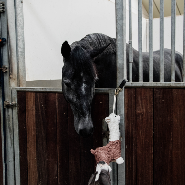 Kentucky Alpaca Stable Toy