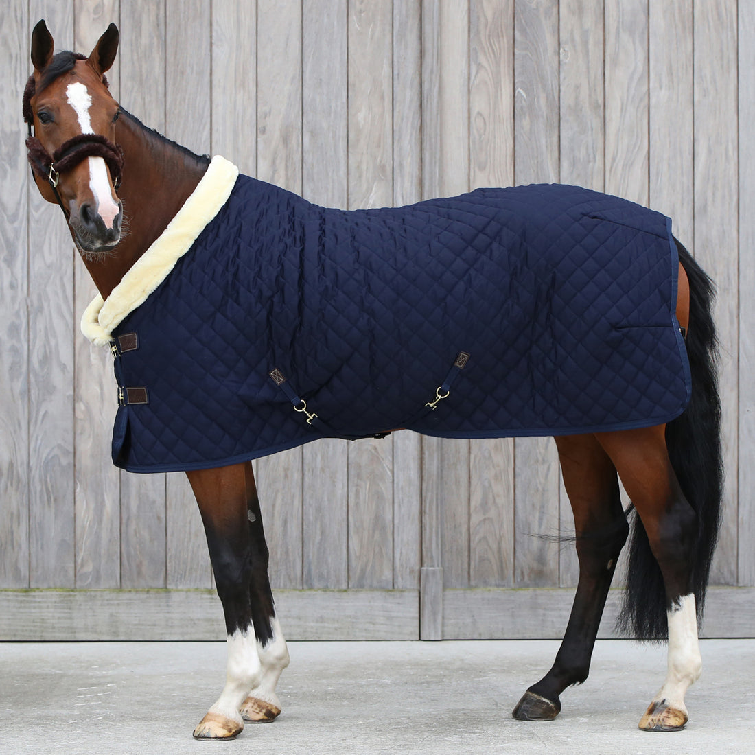 Kentucky Horsewear Navy Show Rug - 160g