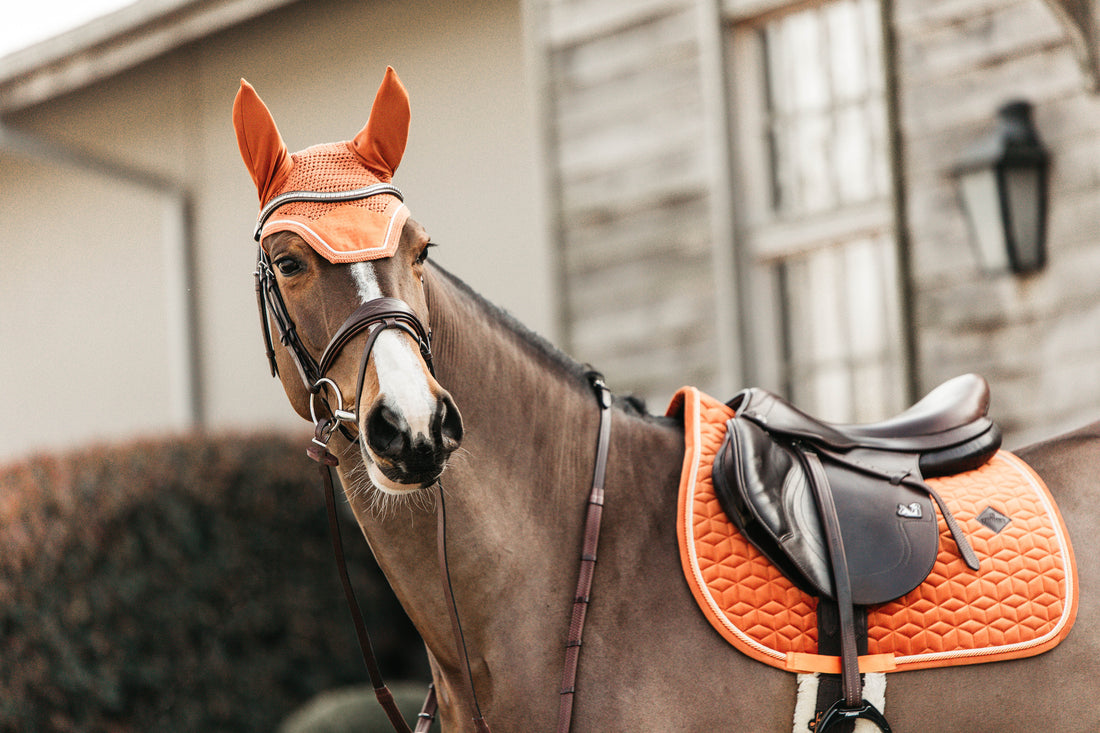 Kentucky Velvet Saddle-pad - Orange